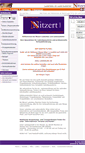 Mobile Screenshot of nitzert.de